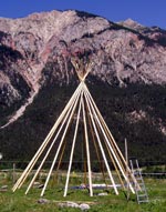 tipi
